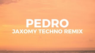 Jaxomy  Pedro pedro pedro Techno remix Lyrics [upl. by Seth167]