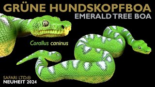 Safari Ltd ® Grüne Hundskopfboa  Grüner Hundskopfschlinger  Corallus caninus  Emerald Tree Boa [upl. by Sheldon]