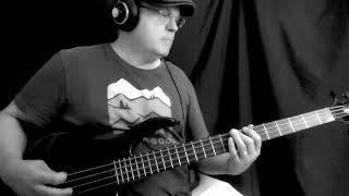 The B52s Rock Lobster Bass Cover [upl. by Neeron]