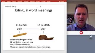 The psycholinguistics of bilingualism  bilingual memory [upl. by Ednargel]