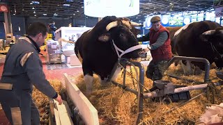 Une année aux côtés des agriculteurs français  le Salon de lAgriculture à Paris [upl. by Mcadams813]