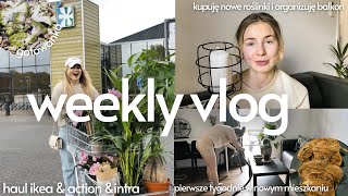 weekly vlog 🏠  haul ikea amp kringloop  nowe roślinki  organizacja balkonu 🪴🌱 [upl. by Rednirah]