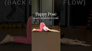 Puppy Pose  Back Bending Flow  Yoga For Strength  Yoga Back Stretch  Yoga Flow shorts [upl. by Alil195]