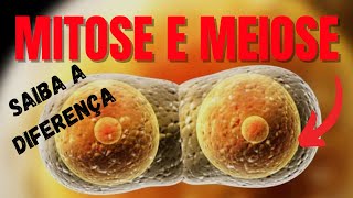 Resumo sobre Mitose e Meiose  Questão sobre divisão celular [upl. by Devin]