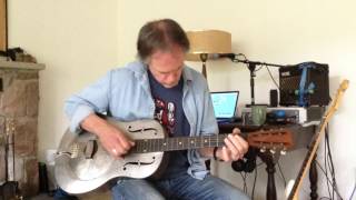 Wild Horses Cover in Open G on National Guitar [upl. by Leahcin]