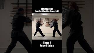 Kobudo Kenjutsu Keiko PowerReaction Drill Phase 1 samurai kenjutsu [upl. by Deeanne]