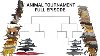 ANIMAL TOURNAMENT FULL EPISODE  ANIMATION [upl. by Naitsirk169]