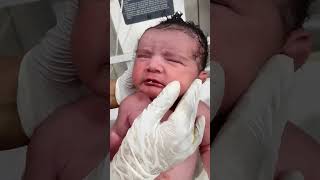 crying after birth of new born baby viralvideo trandingshorts childbirth cutebaby [upl. by Konstantin]