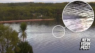 New footage from Scotland suggests there are two Loch Ness monsters ‘Not a coincidence’ [upl. by Miche]