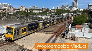 Transport for Sydney Vlog 741 Woolloomooloo Viaduct Trainspotting [upl. by Artemis657]