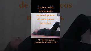 Fortalecer la pelvis y el cuerpo Movimiento Somático [upl. by Wallas]