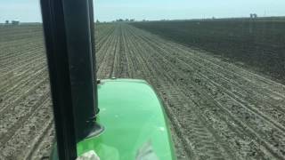 Rotary Hoeing Corn with a John Deere 4555 [upl. by Washburn]