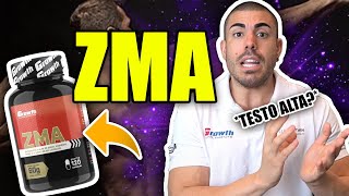 Tudo sobre zma aumenta a testo [upl. by Lederer675]