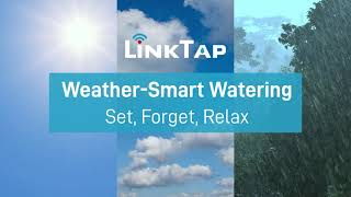 LinkTap  Intelligent Watering for Any Weather [upl. by Ilojna]