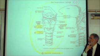 ANATOMY RESPIRATORY SYSTEM PART 1 Upper Tract Nose Pharynx amp Larynx by Professor Fink [upl. by Woolson858]