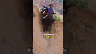 Riding the Descent Conquering the Slope animals horse shortvideo [upl. by Daigle]