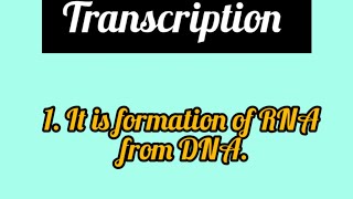 Transcription shortsfeed biology shorts shortsvideo [upl. by Nylodnarb62]