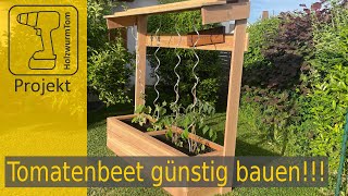 Tomaten Hochbeet mit Dach super günstig selbst bauen  Ich zeige euch wie [upl. by Enwahs692]