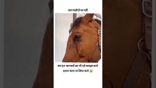 Ye bhi jiv hai itna to mat satao saveanimals dard bedlife verified disclaimer struggle short [upl. by Erreid802]