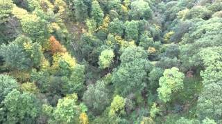 Binning Wood and Cockburns Path Scotland  Phantom 3 Advanced Drone [upl. by Kruse294]