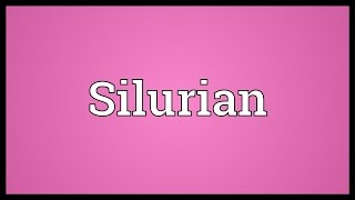 Silurian Meaning [upl. by Ultan861]