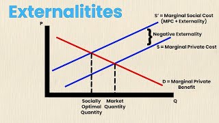 Negative Externalities [upl. by Annaiek498]