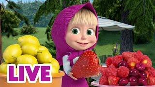 🔴 LIVE STREAM 🎬 Masha and the Bear 🤔 Picky Eaters 😋 [upl. by Aimac306]