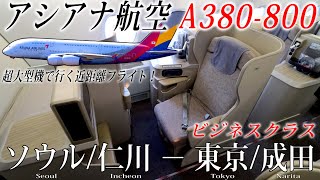 アシアナ航空🇰🇷 A380800 ビジネスクラス搭乗記 ソウル仁川−東京成田 ASIANA AIRLINES Business SeoulIncheon to TokyoNarita [upl. by Milson]