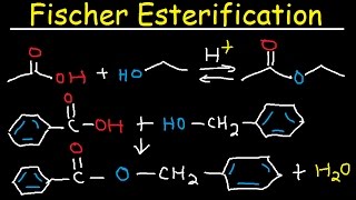 Fischer Esterification Reaction Mechanism  Carboxylic Acid Derivatives [upl. by Ilahsiav]