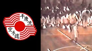 1980’s ChitoRyu 千唐流 Karate Kata • Chintō 鎮東 [upl. by Attehcnoc]