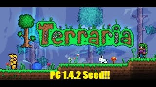 Outdated  New Seed Soon Terraria 142  Aglet Seed [upl. by Ahsek]