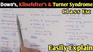 Non Disjunction  Downs Syndrome Klinefelters Syndrome And Turners Syndrome  Class 12 Biology [upl. by Hyozo]