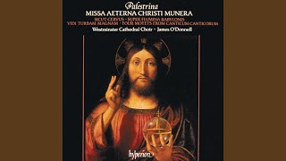 Palestrina Canticum Canticorum quotThe Song of Songsquot III Nigra sum sed formosa [upl. by Jose804]