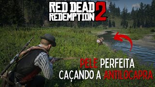 ANTILOCAPRA FÁCIL localização no mapa  Red Dead Redemption 2 COMPÊNDIO 107 [upl. by Eneliak]