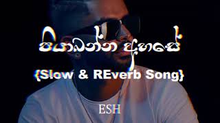 Piyabanna Ahase පියාබන්න අහසේ Slow amp Reverb SongSinhala Song [upl. by Lias]