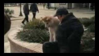 HachikoA Dogs Story2010Dvdrip8mp4 [upl. by Marozik]