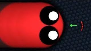 When Noob becomes Pro in Slitherio [upl. by Adnirem]