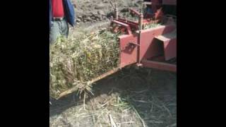 Baling Vetiver Grass for Boiler Fuel [upl. by Warram]