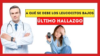 El Misterio de los Glóbulos Blancos Bajos  El Peligro Oculto que tu Médico NO te Dice [upl. by Bollen]