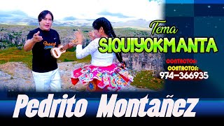 PEDRITO MONTAÑEZ TEMA SIQUIYOKMANTA NOVEDAD MUSICAL  2024 [upl. by Ataynik]