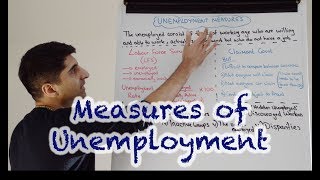 Y1 20 How is Unemployment Measured  Labour Force Survey LFS [upl. by Asilrahc]