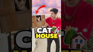 New House For My Cats 💀😀  Mini Vlog shorts minivlog ashortaday vlog tranding cat [upl. by Esorrebma]