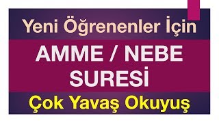 AmmeNebe Suresi Tamamı yeni öğrenenler için çok yavaş okuyuş [upl. by Renner487]