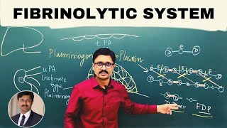 8 Fibrinolytic System [upl. by Niarfe]