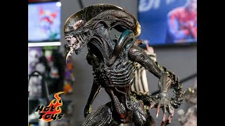 Reservado ALIEN ROMULUS XENOMORPH  HOT TOYS [upl. by Animar]