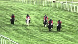 Royal Shetland Pony Race [upl. by Aneelak]