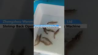 Shrimp Back Opening And Deveining Machine machine machinery [upl. by Eanrahs]