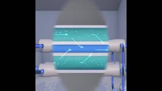 Seawater Desalination Process  3D Animation [upl. by Standley]