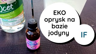 IF rewelacyjny👌 oprysk bakterio i grzybobójczy🔥 na bazie jodyny Zaraza ziemniaczana🍅 mączniak itd [upl. by Siloum]