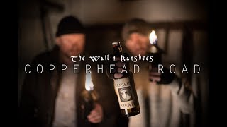 The Wailin Banshees  Copperhead Road Official Video [upl. by Evalyn509]